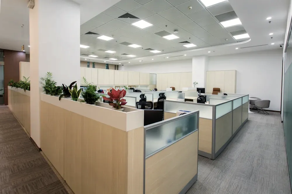 Empty open-plan office with light-wood planted partitions and task chairs